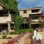 Bougainvillae