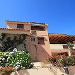 Bougainvillae 리시아 디 바카