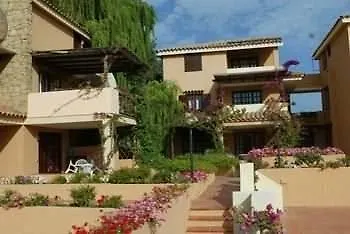 Bougainvillae