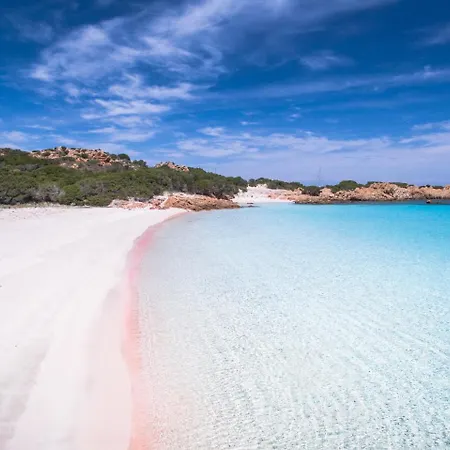 Bougainvillae شقة فندقية