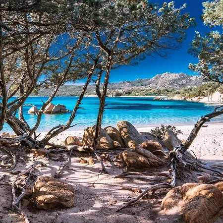 Bougainvillae Hotel apartamentowy